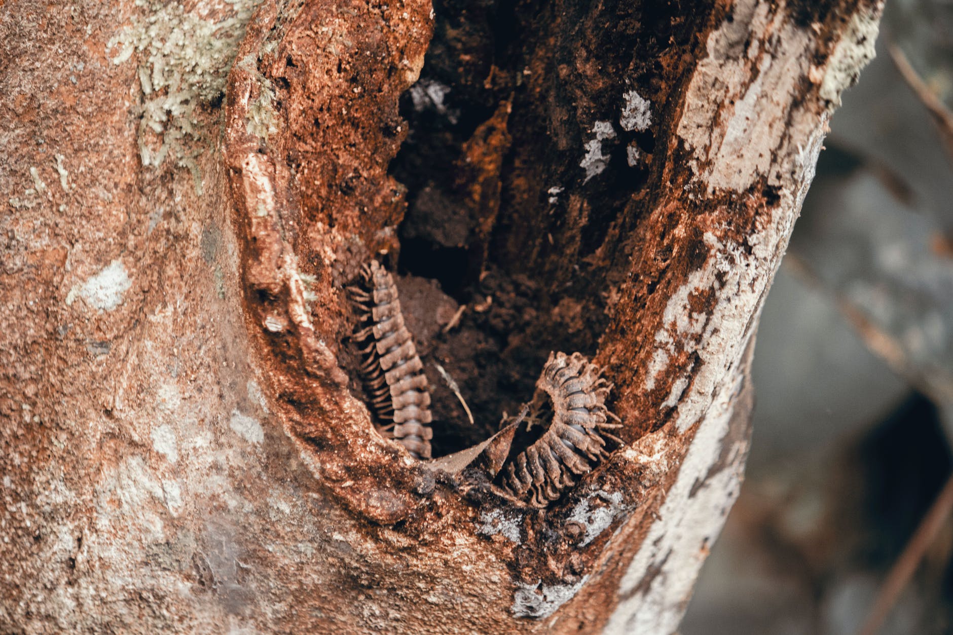 Poetry Corner: Volume 6
