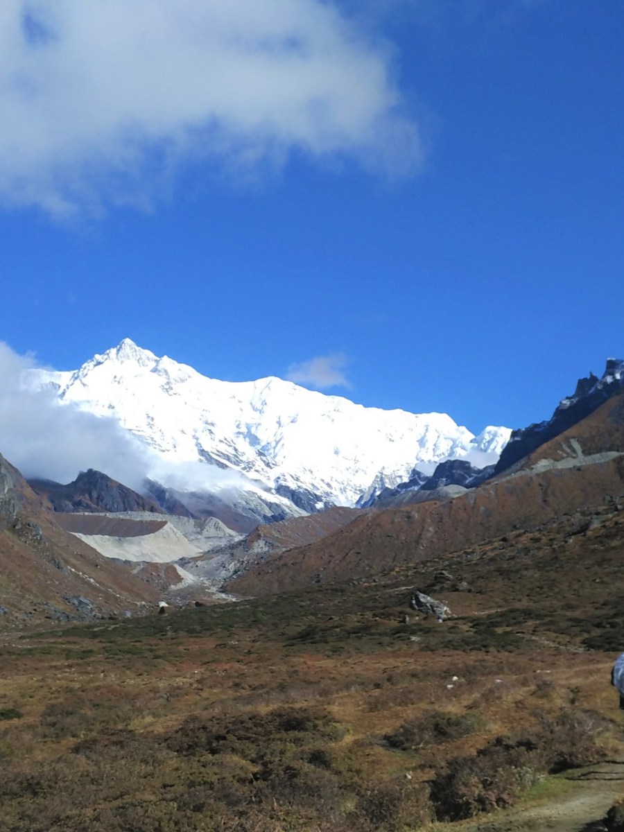 A Walk in the&nbsp;Woods