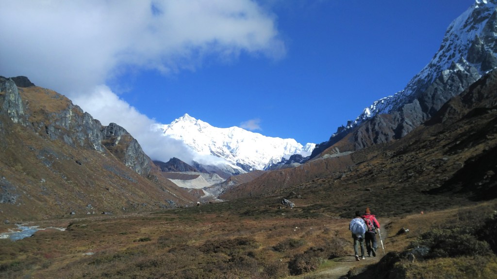 A Walk in the&nbsp;Woods