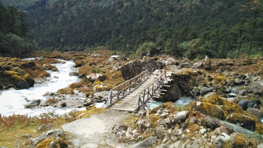 Streams, moss-covered rocks, bridges and plenty of trees enroute to the campsite.