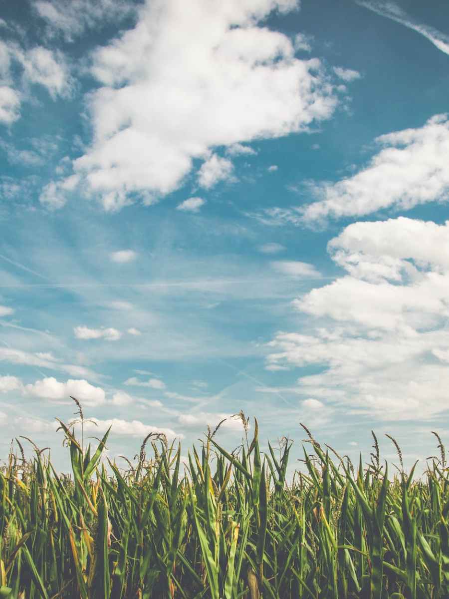 Poetry Corner: Volume&nbsp;10