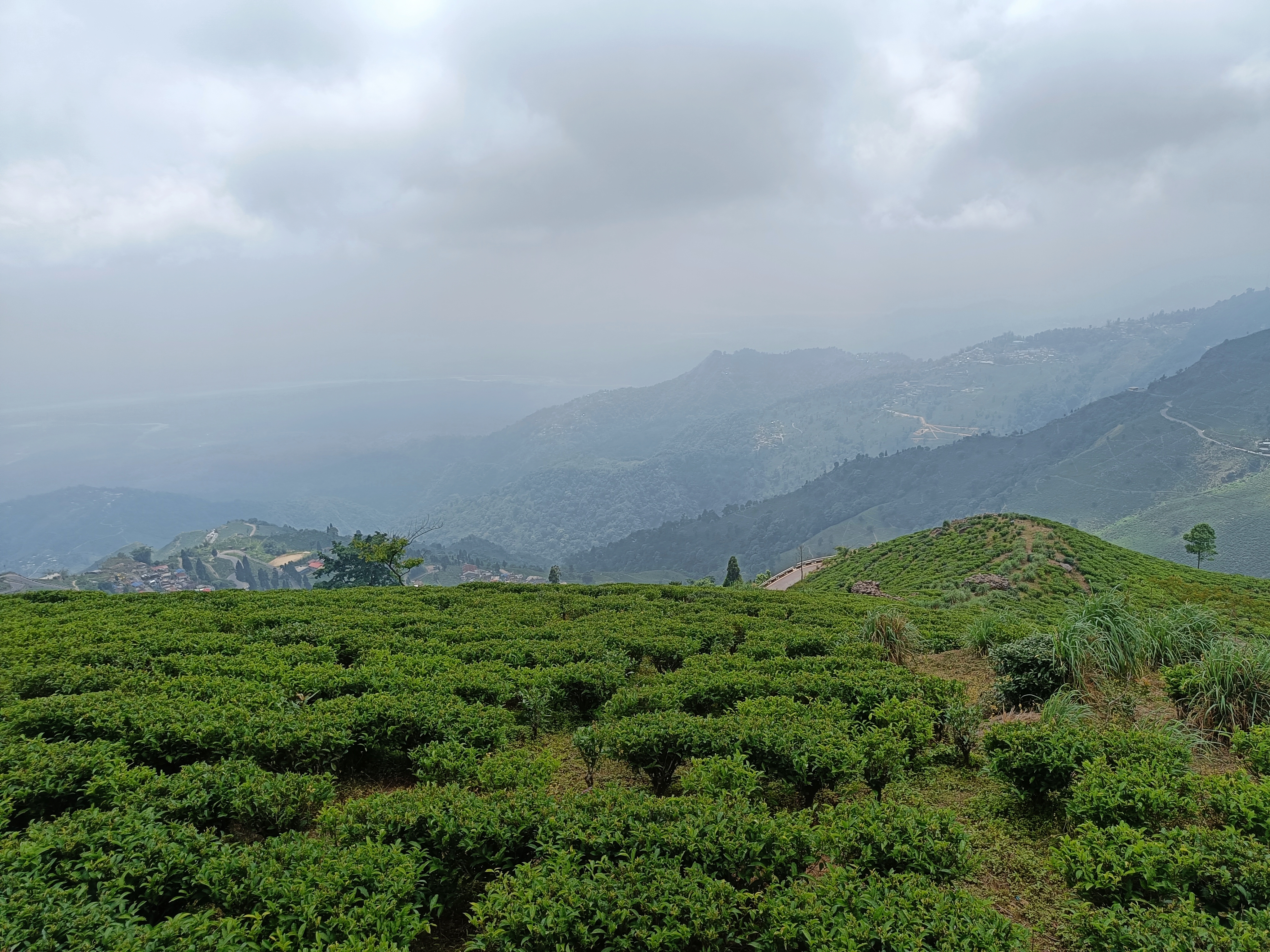 48 hours in Kurseong