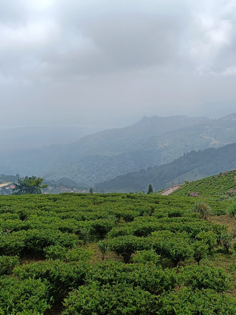 48 hours in&nbsp;Kurseong