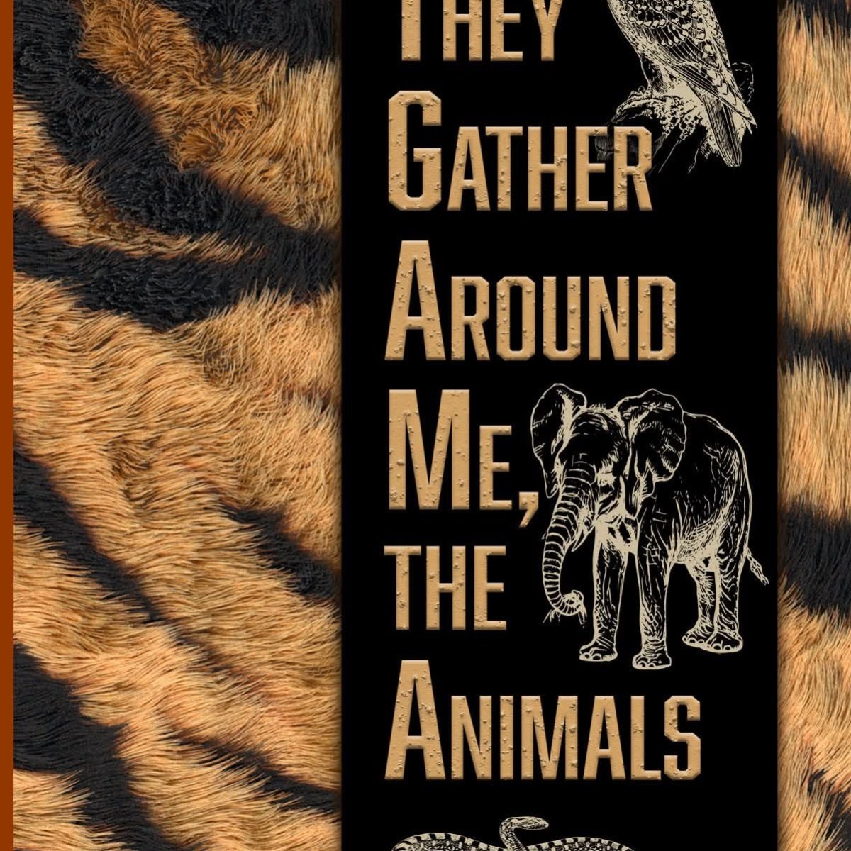 Poetry of the Wild: A talk with Kunjana&nbsp;Parashar