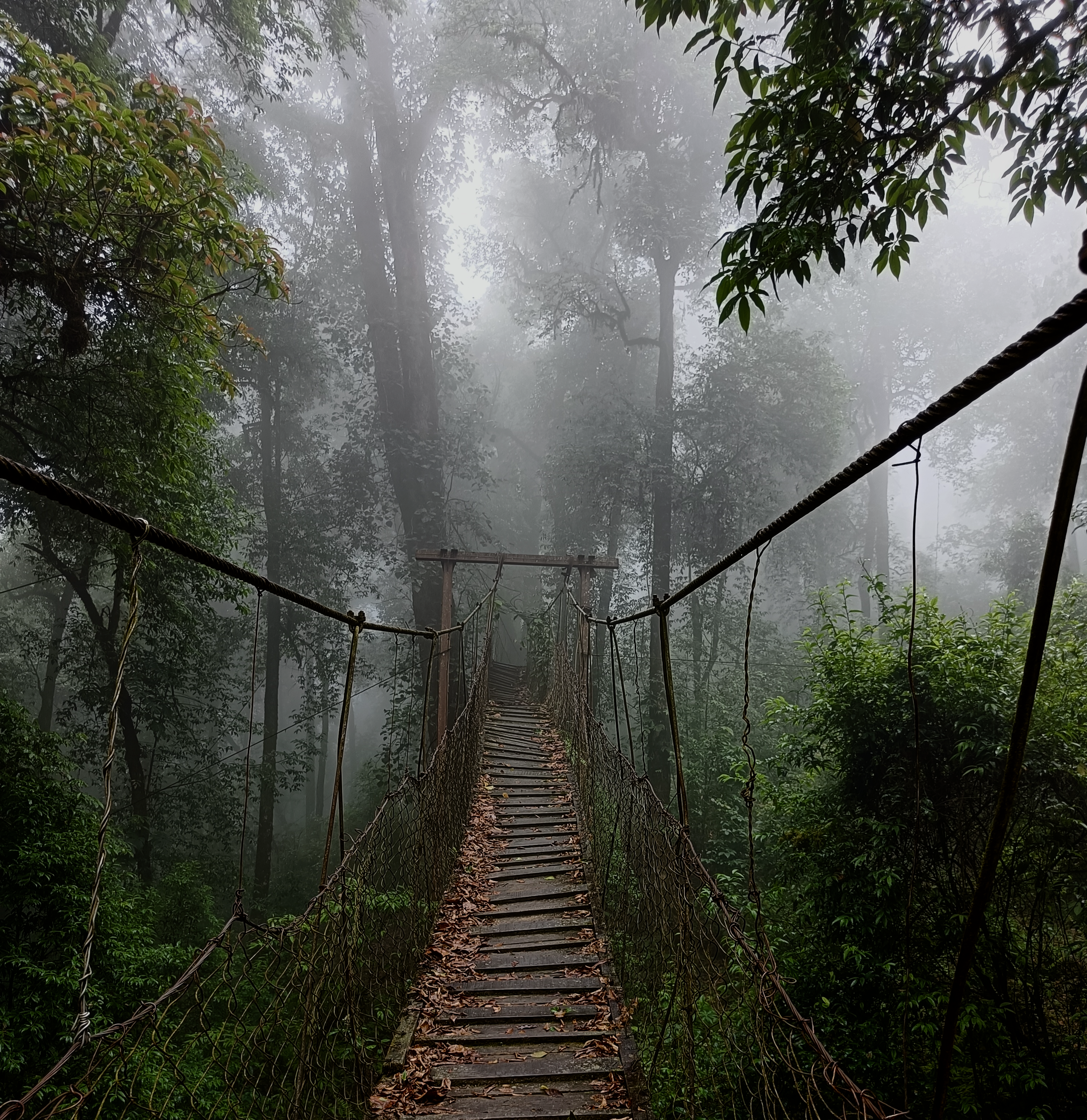 Building Bridges
